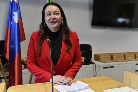 Deseta državna razstava strukljev (21)